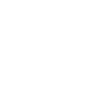 inspection icon